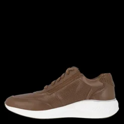 Green Comfort Dolphin Sneaker sko^Dame Sneakers|Sko